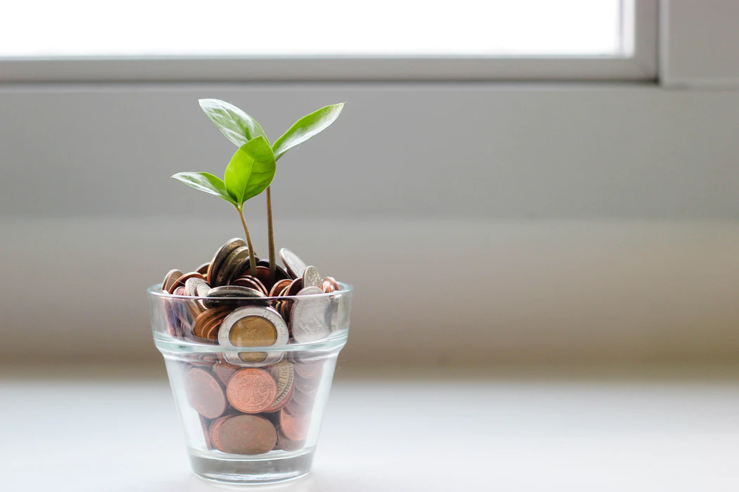 Money with plant growth